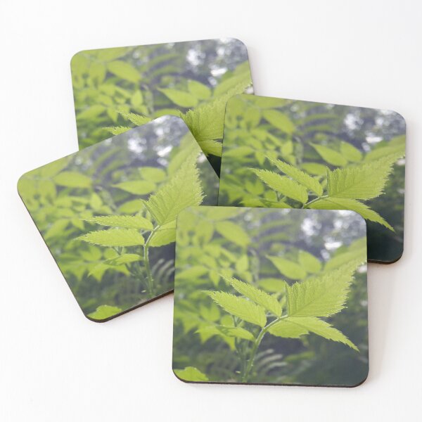 Item preview, Beautiful light green leaves Perfect for Nature Lovers who love Plants.  designed and sold by Yusuf-Design.