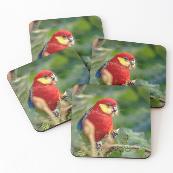 Item preview, Western Rosella  designed and sold by Mslphotography.
