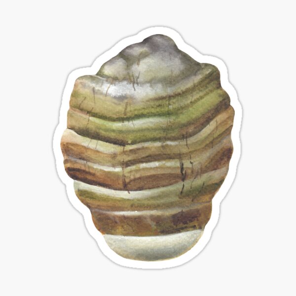 Watercolor Agarikon mushroom Sticker