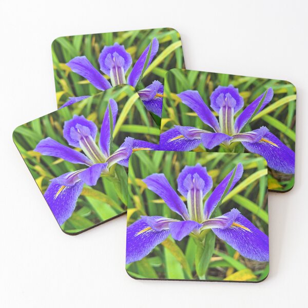 Item preview, Deep purple iris flower in bloom designed and sold by FranWest.