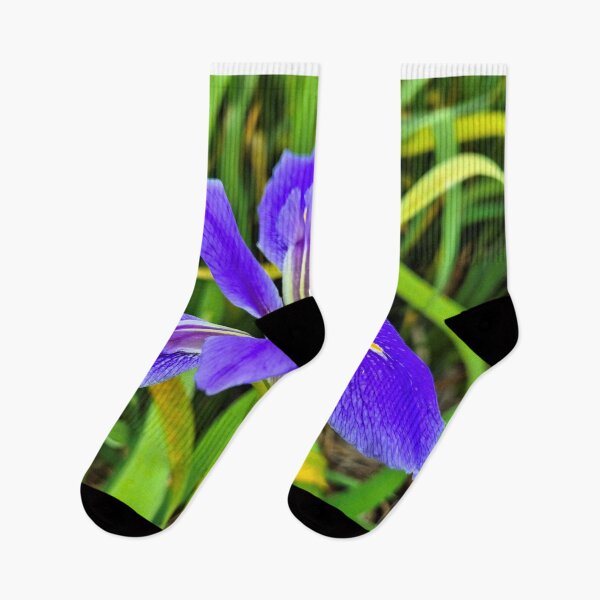 Item preview, Deep purple iris flower in bloom designed and sold by FranWest.
