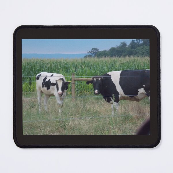 Item preview, Country Cows designed and sold by Nicholes Dream Visions.