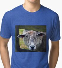 A Very Endearing Ewe.......... Tri-blend T-Shirt