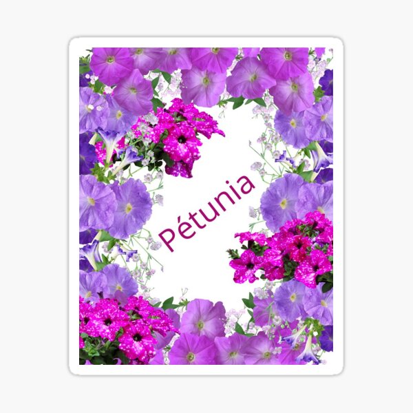 Item preview, Petunia designed and sold by Hellokittyblueflower.