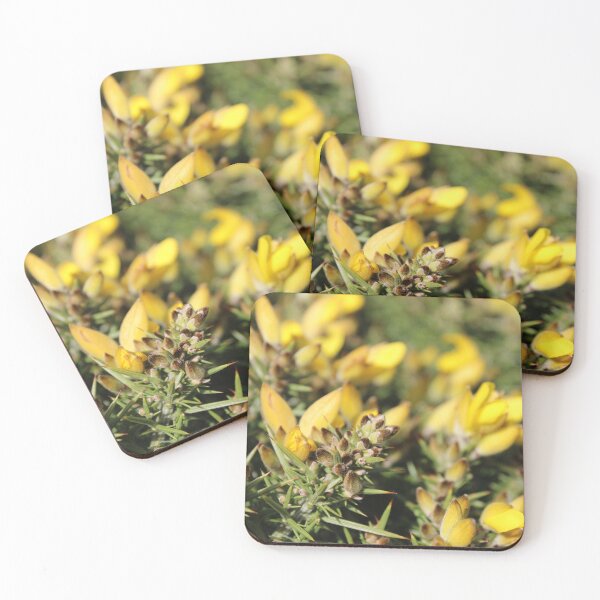 Item preview, Flowering Gorse, Coastal Plants designed and sold by SW-CraftDesigns.