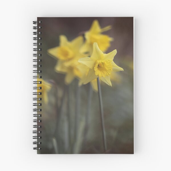 Item preview, El paraíso de los narcisos designed and sold by CJWoolhead.