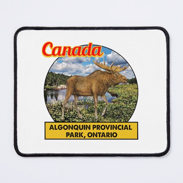 Item preview, Algonquin Provincial Park Ontario Vintage Travel Decal designed and sold by Spyshirt.