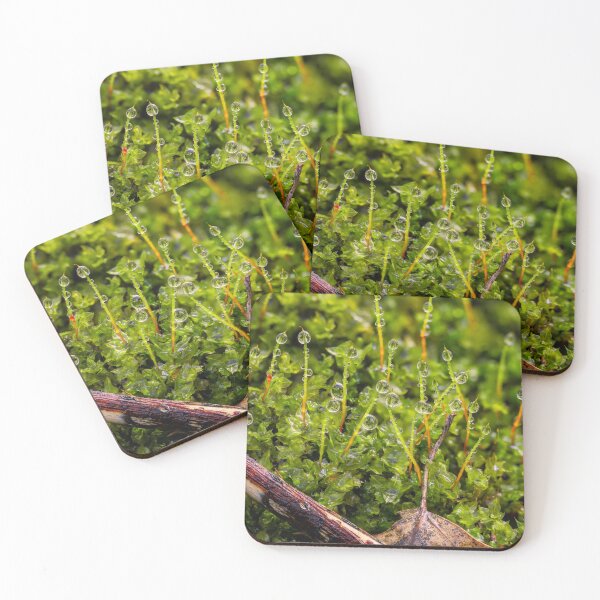 Item preview, March, spring time 8 designed and sold by Veikko  Suikkanen.