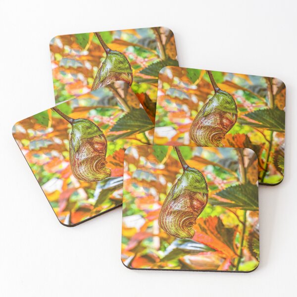 Item preview, Monkey's Throat Orchid designed and sold by Paul Thompson Photography.