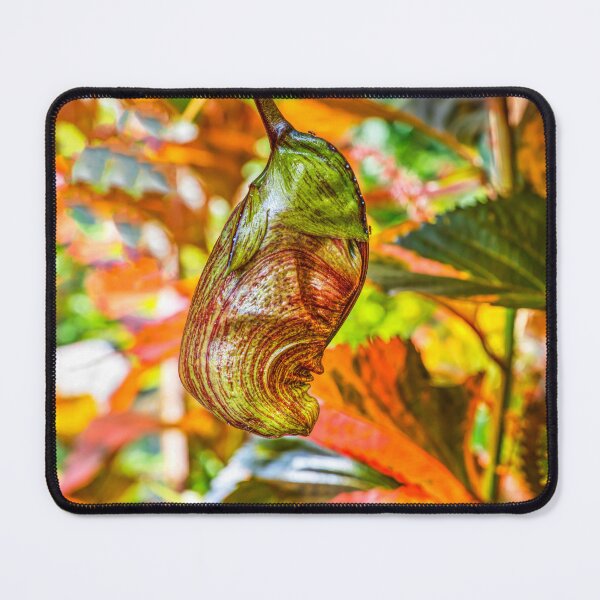 Item preview, Monkey's Throat Orchid designed and sold by Paul Thompson Photography.
