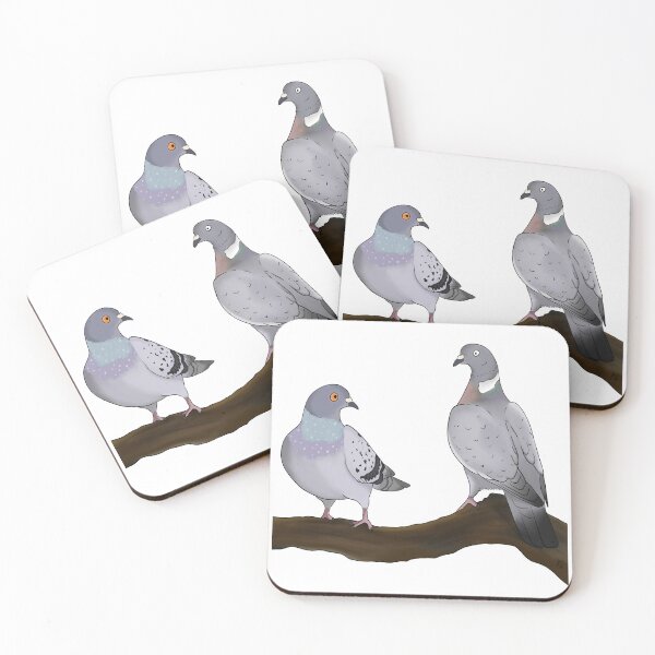 Item preview, Wood Pigeon and Feral Pigeon (white background) designed and sold by KSPillustration.