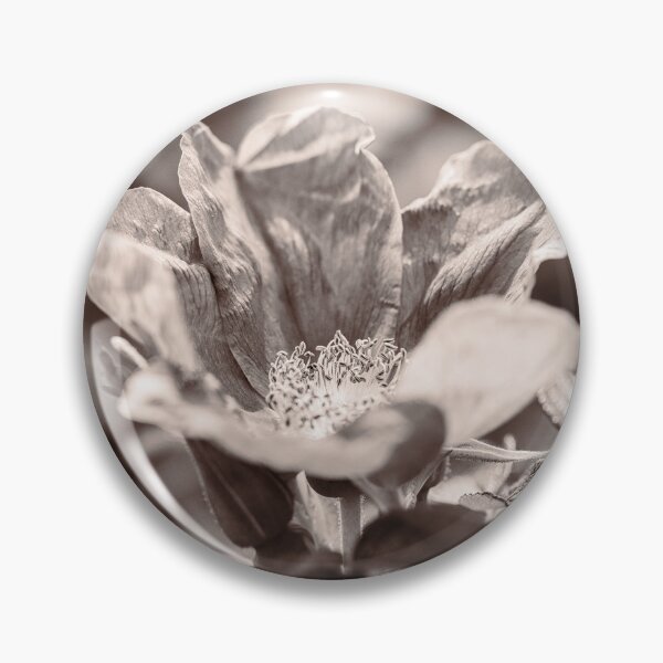 Item preview,  Rosa Rugosa In Sepia designed and sold by Tanya C  Smith.