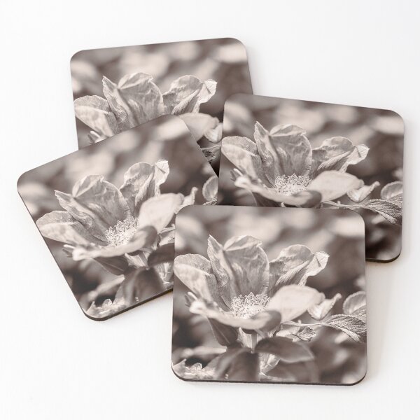 Item preview,  Rosa Rugosa In Sepia designed and sold by Tanya C  Smith.