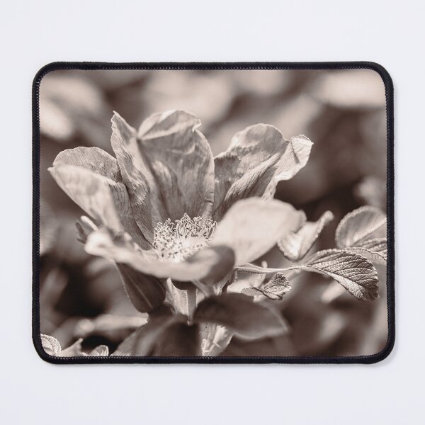 Item preview,  Rosa Rugosa In Sepia designed and sold by Tanya C  Smith.