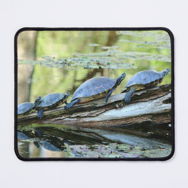 Item preview, Traffic Jam designed and sold by Olivia Plasencia.
