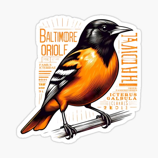 Item preview, Baltimore Oriole 5 designed and sold by theAVIARY7.