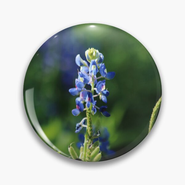 Item preview, Springtime in Texas designed and sold by Olivia Plasencia.