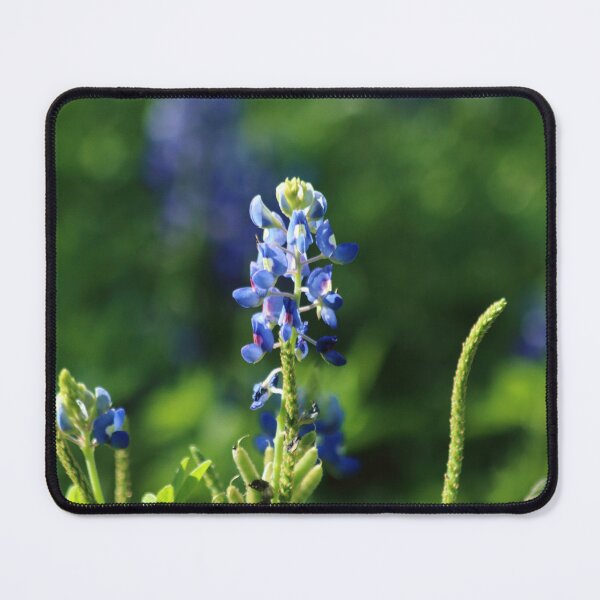 Item preview, Springtime in Texas designed and sold by Olivia Plasencia.