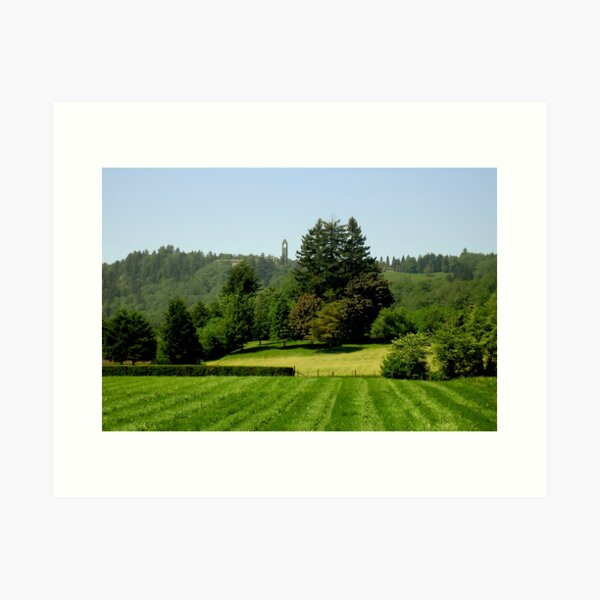Item preview, Green Valley City of Mission BC designed and sold by MaluC.