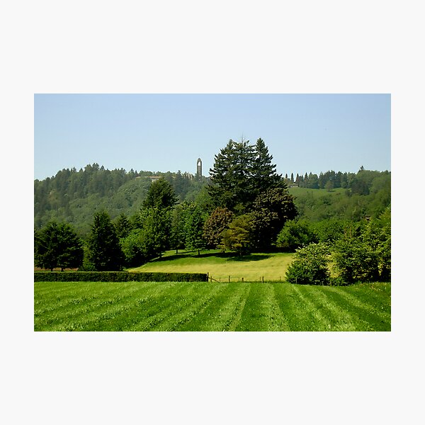 Item preview, Green Valley City of Mission BC designed and sold by MaluC.
