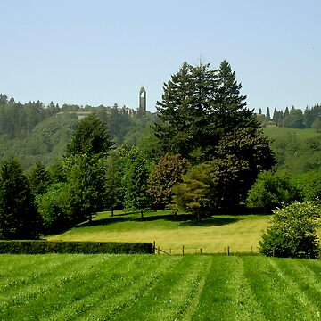 Artwork thumbnail, Green Valley City of Mission BC by MaluC