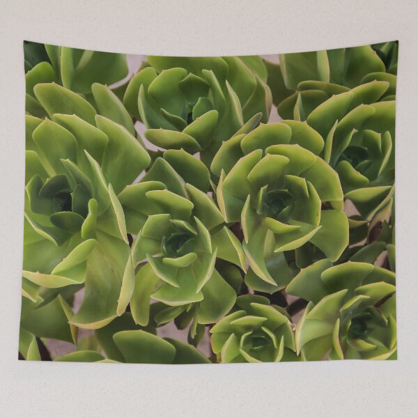 Item preview, The Wonder of Nature  designed and sold by heatherfriedman.