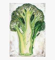 Broccoli Photographic Print