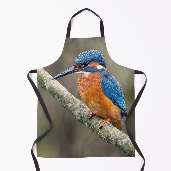Item preview, the fantastic kingfisher designed and sold by Tom McPherson Photography.