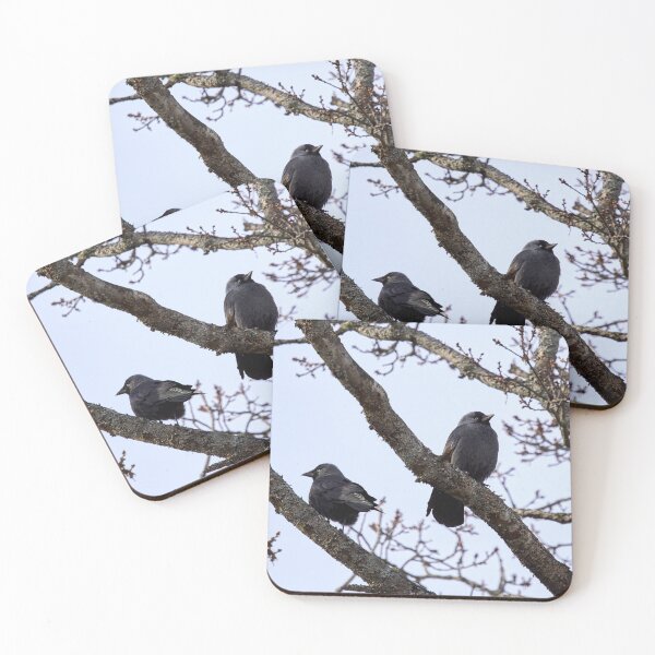 Item preview, Misunderstandings. Western jackdaw designed and sold by Jouko Lehto Photography.