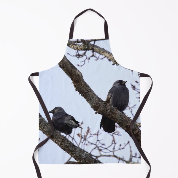 Item preview, Misunderstandings. Western jackdaw designed and sold by Jouko Lehto Photography.