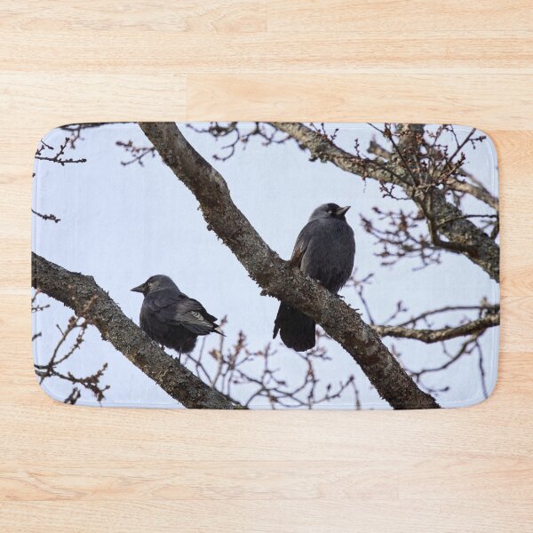 Item preview, Misunderstandings. Western jackdaw designed and sold by Jouko Lehto Photography.