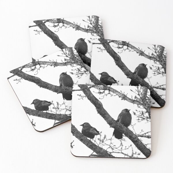 Item preview, Misunderstandings. Western jackdaw bw designed and sold by Jouko Lehto Photography.