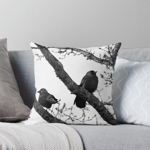 Item preview, Misunderstandings. Western jackdaw bw designed and sold by Jouko Lehto Photography.
