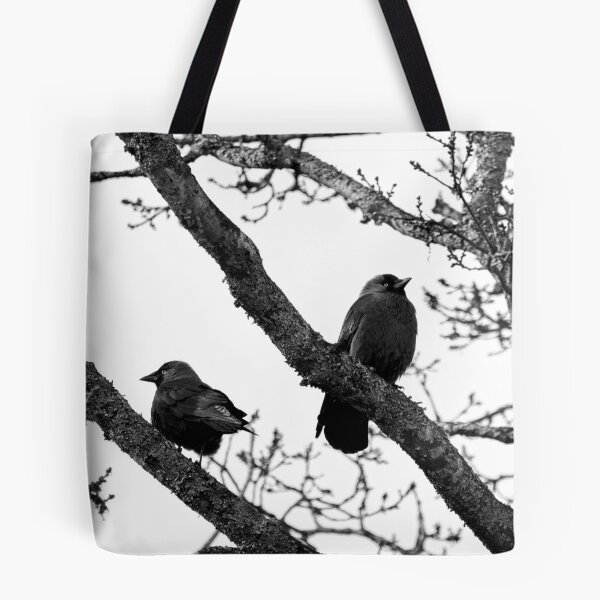 Item preview, Misunderstandings. Western jackdaw bw designed and sold by Jouko Lehto Photography.