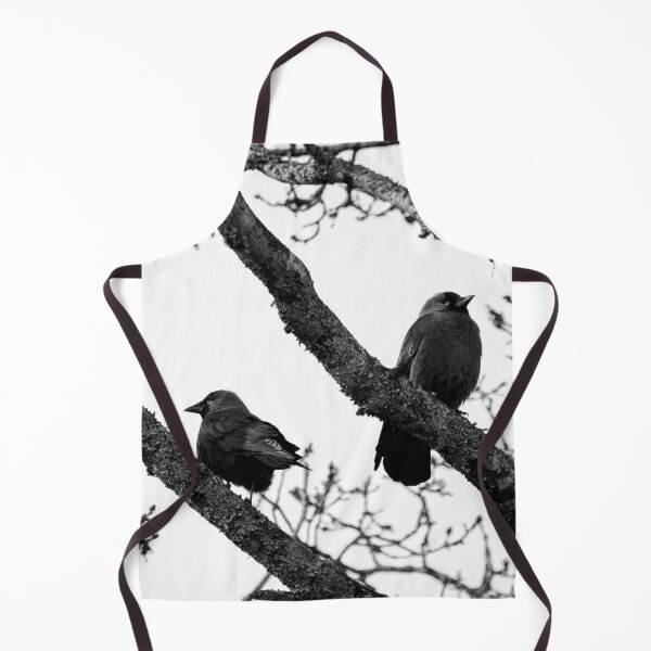 Item preview, Misunderstandings. Western jackdaw bw designed and sold by Jouko Lehto Photography.