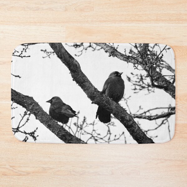Item preview, Misunderstandings. Western jackdaw bw designed and sold by Jouko Lehto Photography.