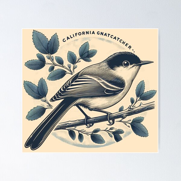 Item preview, California Gnatcatcher 2 designed and sold by theAVIARY7.