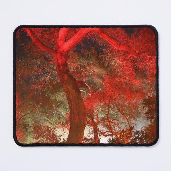 Item preview, red trees designed and sold by MariannaPhotos.