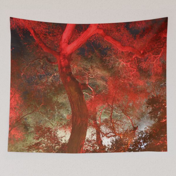 Item preview, red trees designed and sold by MariannaPhotos.