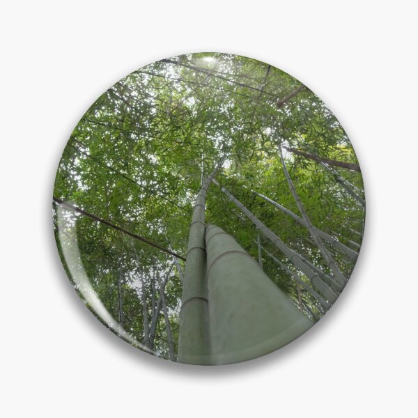 Item preview, Bamboo Canopy – Tranquil Forest Photography Print designed and sold by tommy3613.
