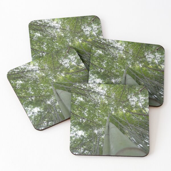 Item preview, Bamboo Canopy – Tranquil Forest Photography Print designed and sold by tommy3613.