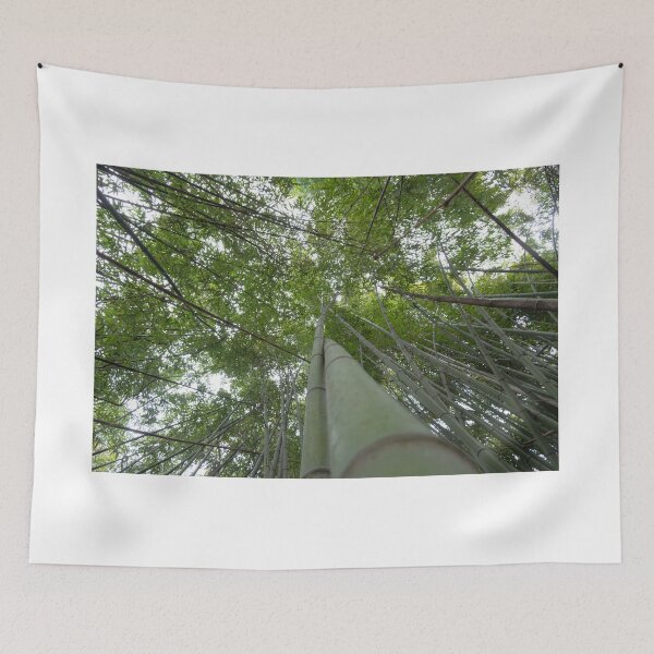 Item preview, Bamboo Canopy – Tranquil Forest Photography Print designed and sold by tommy3613.