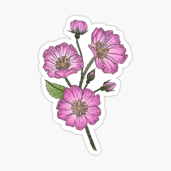 Item preview, Wild Rose Flowers designed and sold by Marguerite Artistry.