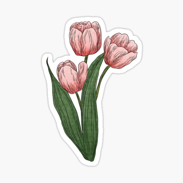 Artikel-Vorschau von Rosa Tulpenblüten, designt und verkauft von Marguerite Artistry.