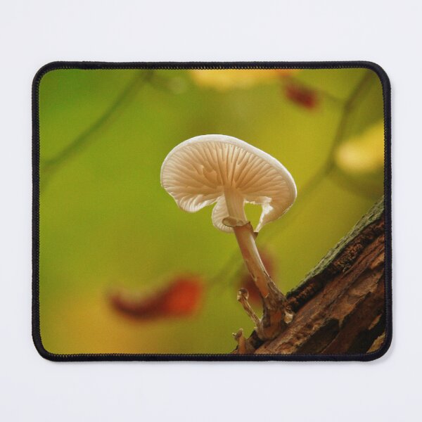 Item preview, Solitary designed and sold by miradorpictures.