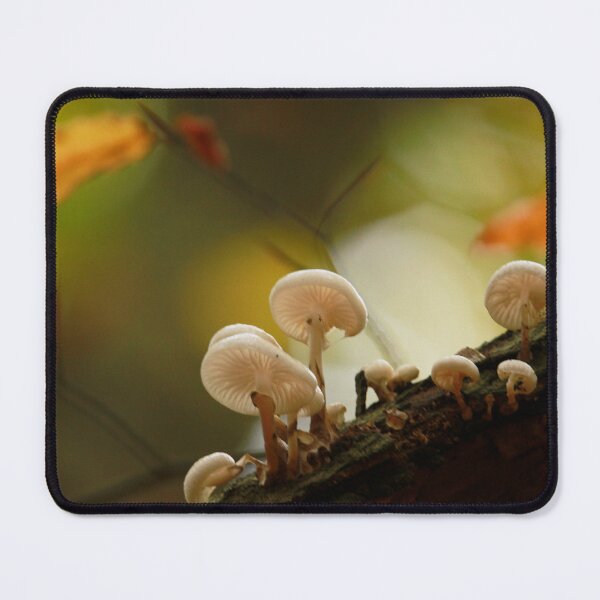 Item preview, Fungi Foray designed and sold by miradorpictures.