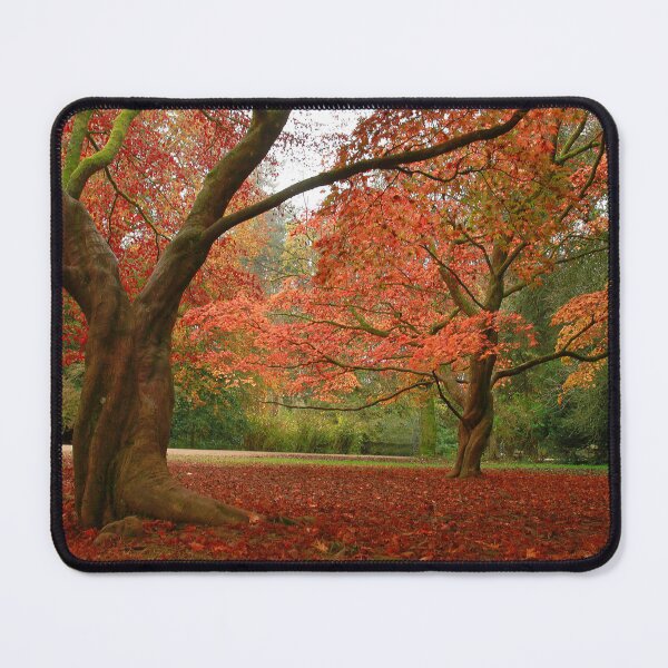 Item preview, Awesome Autumn  designed and sold by miradorpictures.