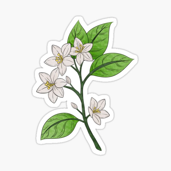Item preview, Orange Blossom Flowers designed and sold by Marguerite Artistry.
