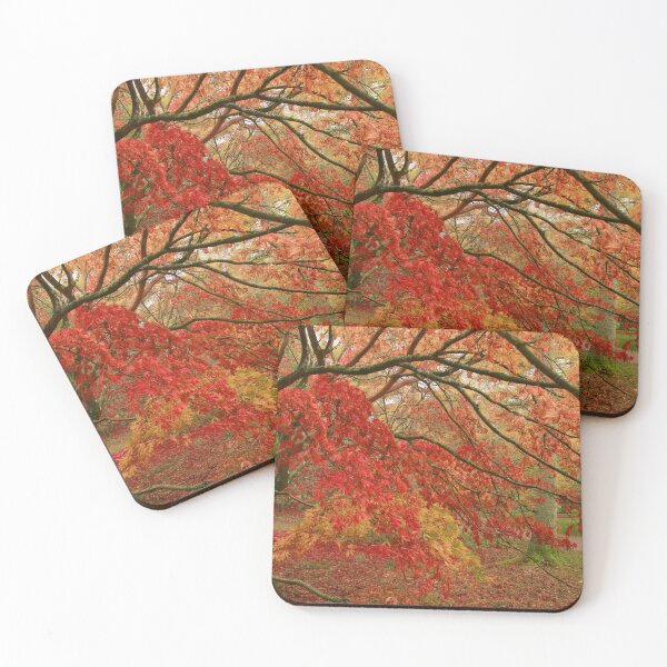 Item preview, Leaf falls designed and sold by miradorpictures.