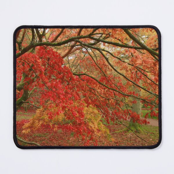 Item preview, Leaf falls designed and sold by miradorpictures.